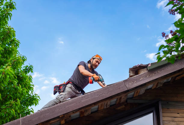 Best Roof Moss and Algae Removal  in Point Marion, PA